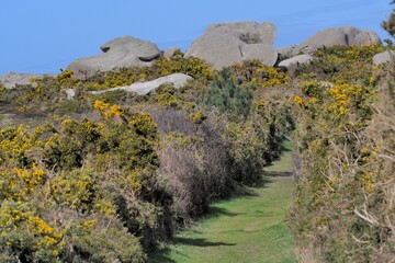 Beautiful la,dscape at seaside in Brittany France