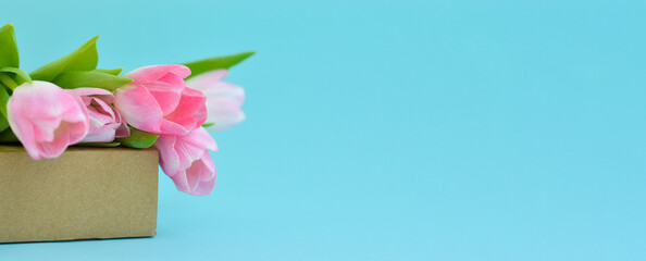 Banner whitg spring flowers. Pink tulips on a box. Congratulation.The concept of spring gifts and holidays