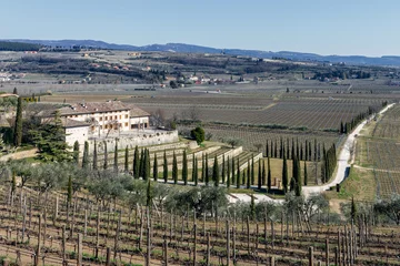 Fototapeten Typical Valpolicella landscape © daniele