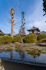 大寳山 法雲寺（法雲禅寺）