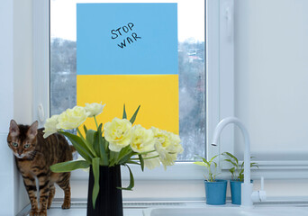 Yellow tulips on the background of the Ukrainian flag on the window. The concept is no war. Soft focus.