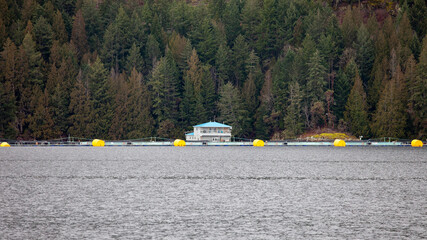 Open net-cage salmon farms are seen from the BC Ferries crossing in Jervis Inlet. Farmed fish...