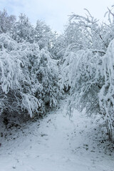 Winter view of South Park in city of Sofia, Bulgaria