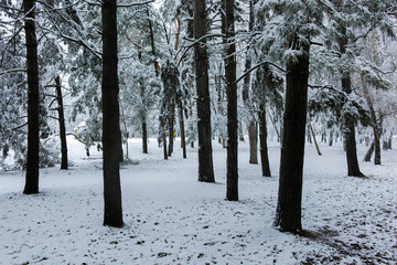 Winter view of South Park in city of Sofia, Bulgaria