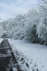 Winter view of South Park in city of Sofia, Bulgaria
