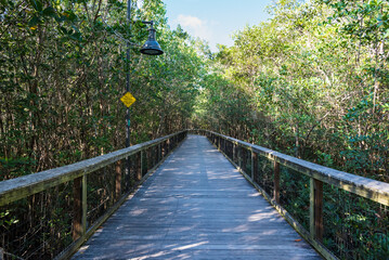 Gordon River Greenway Naples Florida - Boardwalk