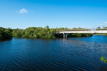 Fototapeta na wymiar Gordon River Greenway Naples Florida - Bridge View