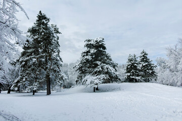 Obraz premium Winter view of South Park in city of Sofia, Bulgaria