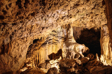 Beautiful Scenic View of a Florida Cavern