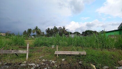 landscape with a fence