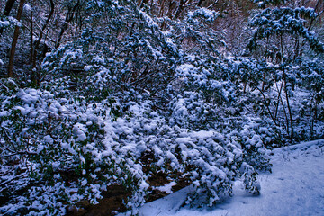 Shooting location:Chomonkyo
Yamaguchi Prefecture:Japanese valley:
Japanese winter scene:Japanese landscape photography
長門峡:山口県道293号萩長門峡線:冬