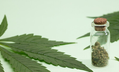 ground marijuana in glass bottle with cork stopper and green leaves, green background.