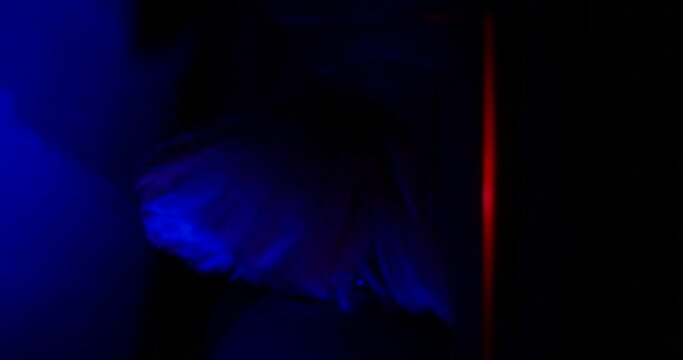 Confused and frightened girl in the dark corridor of abandoned building looks around, runs up to the door and opens it. Real-time quest attraction. Pursuit-concept. Low angle tracking shot