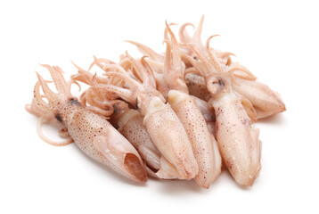 Small Freshly Steamed Squids On White background