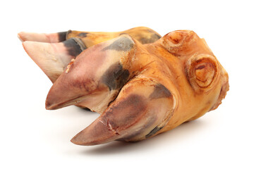 cow hooves on white background