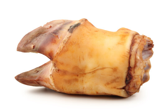 cow hooves on white background