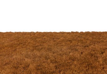 Isometric grass field brown color cutout