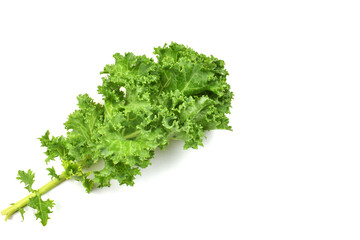 Obraz premium lettuce isolated on white background