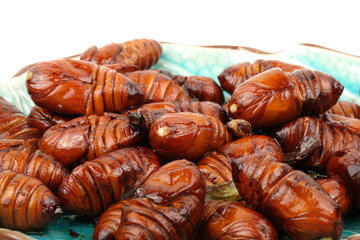 chrysalis silkworm ,silk worm cocoon on white background 