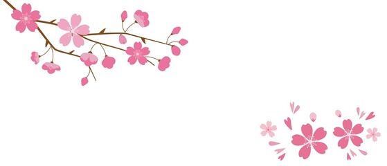 Pink Cherry blossom illustration. Simple Cherry blossom graphics for spring frame, background and banner design. vector illustration.