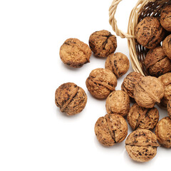 walnuts on white background