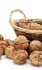 walnuts on white background