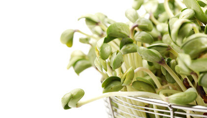 Black bean sprouts on white background
