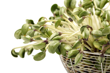 Black bean sprouts on white background
