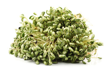 Black bean sprouts on white background
