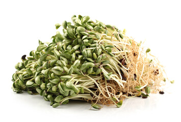 Black bean sprouts on white background