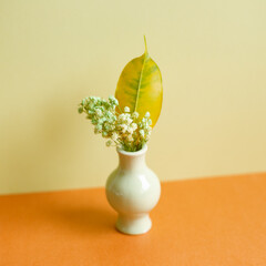 Vase of dry flowers on orange table. yellow wall background. home interior