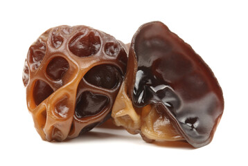 black fungus on white background