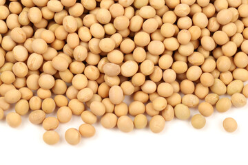 gold soybean 