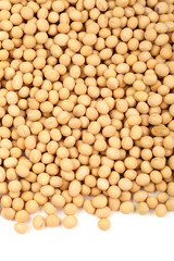 gold soybean 