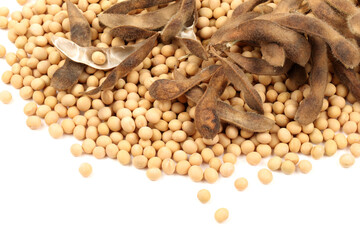 gold soybean 