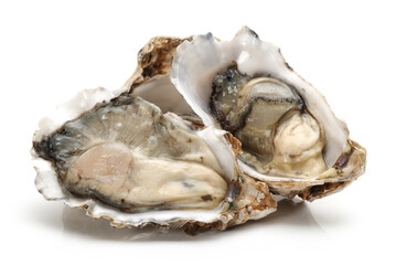 Fresh opened oyster on white background