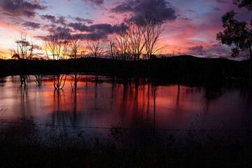 Firey red sunset over Lake Wyaralong Dam in Queensland with stark silhouettes of drowned trees and water reflections.