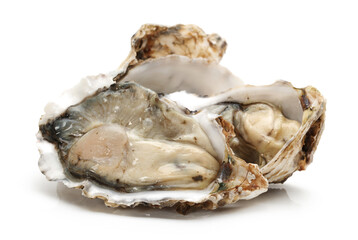 Fresh opened oyster on white background