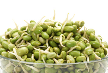 green soybean sprouts on white background