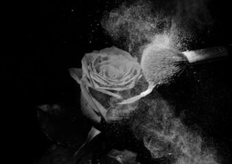 ハケに付けた粉をバラの花に飛ばしモノクロ撮影いたしました。