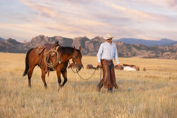 Wyoming Cowboy