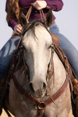 Western Tack Details