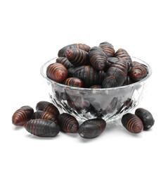 chrysalis silkworm ,silk worm cocoon on white background 