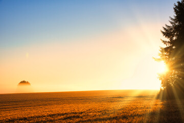 丘の町・美瑛の幻想的な日の出風景