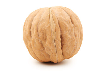 walnuts on white background