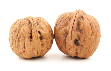 walnuts on a white background