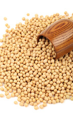 Obraz premium soybean isolated on white background