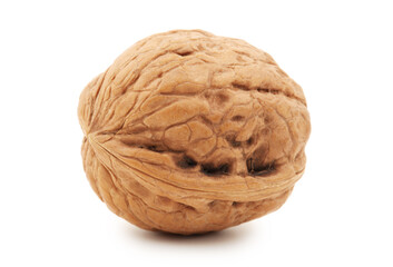 walnuts on white background 