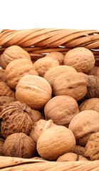 walnut background