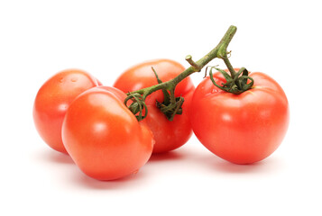 tomatoes isolated on white background